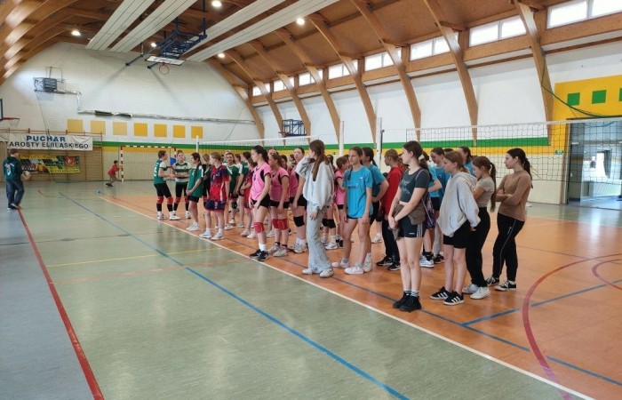 Przede wszystkim wielkie podziękowania firmie Paki Prints,  Panu Piotrowi Borysiewiczowi za piękne koszulki dla naszych zawodniczek oraz Pani Ewelinie Mikusek za uruchomienie tej inicjatywy. Dziewczyny ślicznie prezentowały się w jasno-niebieskim kolorze. Jednak mimo to nie udało nam się zająć miejsca na podium.

W turnieju o Puchar Starosty Elbląskiego rozgrywanym 15.04 2025 r. w hali sportowej Zespołu Szkół w Gronowie Elbląskim, udział wzięło osiem drużyn: z Młynar, Rogajn, Godkowa, Tolkmicka, Nowakowa, Gronowa Elbląskiego oraz dwie drużyny z Pasłęka. Zostawione na parkiecie wielkie zaangażowanie nie wystarczyło jednak naszemu zespołowi  na wyjście z grupy i ostatecznie zajęliśmy szóste miejsce. SP Nr 2 w Pasłęku reprezentowały: Maja Hołub, Weronika Jakubowska, Sandra Kędzierska, Amelia Brzozowska, Julia Sobieska, Nikola Sobota, Zuzanna Mikusek, Nadia Wojczys, Liliana Zakrzewska, Maja Pawlak.

Dziękuję zawodniczkom za sportową postawę i godne reprezentowanie naszej szkoły.                                                                                                                                                                                                            