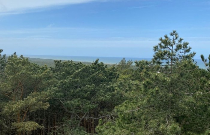 W maju klasy ósme wybrały się na wycieczkę do Łeby. Główną atrakcją był spacer szlakiem przez Słowiński Park Narodowy na ruchome wydmy i wejście na Łącką Górę. Piaszczysty krajobraz przypominał pustynię, a widok z góry na Bałtyk i jezioro Łebsko zrobił ogromne wrażenie. Kolejnym punktem była latarnia morska w Czołpinie, do której prowadziła malownicza, leśna trasa. Widok z jej szczytu zapierał dech w piersiach. Uczniowie odwiedzili też muzeum Słowińskiego Parku Narodowego, poznając przyrodę i historię tego unikalnego miejsca. Dopisała pogoda, a wspólne chwile, zabawy i rozmowy wieczorem sprawiły, że wycieczka stała się niezapomnianym przeżyciem. Była to idealna okazja do nauki w terenie, integracji i odpoczynku przed zakończeniem szkoły.