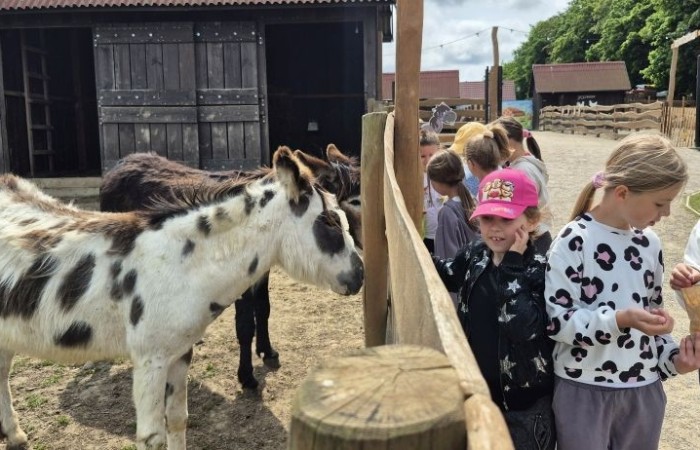 17 czerwca uczniowie klas drugich mieli okazję spędzić niezapomniany dzień w malowniczej Zagrodzie Kociewskiej. Program wycieczki obfitował w atrakcje, a jedną z najciekawszych były kreatywne warsztaty emalierskie. Dzieci dowiedziały się, czym jest emalia i jak powstają naczynia emaliowane. W części praktycznej każdy uczestnik mógł samodzielnie ozdobić ceramiczny magnes przy użyciu specjalnych markerów. Powstały w ten sposób wyjątkowe, kolorowe prace – prawdziwe małe dzieła sztuki, które będą piękną pamiątką na lata. Po warsztatach przyszedł czas na relaks i zabawę. Uczniowie korzystali z uroków otoczenia – bawili się na świeżym powietrzu, zwiedzali zagrodę i dokarmiali zwierzęta. Szerokie uśmiechy na twarzach dzieci, gdy wracały do szkoły, były najlepszym dowodem na to, że wyjazd był udany.