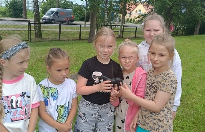 W ramach projektu S.Z.U.M. nasi najmłodsi uczniowie z klas 1-3 wzięli udział w wyjątkowej zabawie edukacyjnej – podchodach ekologicznych. Na terenie szkoły czekały na nich liczne zadania, które nie tylko dostarczyły mnóstwo radości, ale również uczyły, jak dbać o naszą planetę. Dzieci m.in.: rozwiązywały zagadki przyrodnicze, przytulały drzewa, poszukiwały ukrytych figurek zwierząt, wspólnie śpiewały piosenkę o Ziemi, zapisywały ekologiczne hasła – jak pomagać planecie, pokonywały tor przeszkód z ekologicznym przesłaniem. Było radośnie, aktywnie i bardzo zielono.