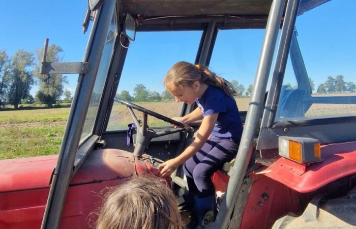 Uczniowie klasy 2A spędzili wyjątkowy dzień, podczas którego królował… ziemniak!  
Na początku poznaliśmy historię tej rośliny oraz dowiedzieliśmy się, jak wygląda jej budowa i w jaki sposób trafia z pola na nasze stoły. Nie zabrakło także wspólnej zabawy i zbierania ziemniaków, co sprawiło dzieciom ogromną frajdę.
Na zakończenie każdy mógł spróbować pysznych potraw przygotowanych z ziemniaków – były frytki, chipsy i chrupiące placki ziemniaczane. Dzięki temu wydarzeniu uczniowie nie tylko świetnie się bawili, ale też zdobyli nową wiedzę o roślinach okopowych. Serdecznie dziękujemy mamom: Paulinie Rokita, Asi Jabłońskiej i Sandrze Grzmocińskiej za doskonałe przygotowanie zajęć, pyszne smakołyki oraz poświęcony czas. Dzięki Wam ten dzień stał się naprawdę wyjątkowy! 
