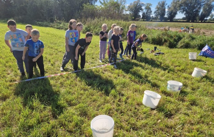 Uczniowie klasy 2A spędzili wyjątkowy dzień, podczas którego królował… ziemniak!  
Na początku poznaliśmy historię tej rośliny oraz dowiedzieliśmy się, jak wygląda jej budowa i w jaki sposób trafia z pola na nasze stoły. Nie zabrakło także wspólnej zabawy i zbierania ziemniaków, co sprawiło dzieciom ogromną frajdę.
Na zakończenie każdy mógł spróbować pysznych potraw przygotowanych z ziemniaków – były frytki, chipsy i chrupiące placki ziemniaczane. Dzięki temu wydarzeniu uczniowie nie tylko świetnie się bawili, ale też zdobyli nową wiedzę o roślinach okopowych. Serdecznie dziękujemy mamom: Paulinie Rokita, Asi Jabłońskiej i Sandrze Grzmocińskiej za doskonałe przygotowanie zajęć, pyszne smakołyki oraz poświęcony czas. Dzięki Wam ten dzień stał się naprawdę wyjątkowy! 
