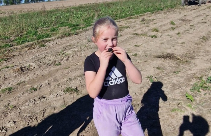 Uczniowie klasy 2A spędzili wyjątkowy dzień, podczas którego królował… ziemniak!  
Na początku poznaliśmy historię tej rośliny oraz dowiedzieliśmy się, jak wygląda jej budowa i w jaki sposób trafia z pola na nasze stoły. Nie zabrakło także wspólnej zabawy i zbierania ziemniaków, co sprawiło dzieciom ogromną frajdę.
Na zakończenie każdy mógł spróbować pysznych potraw przygotowanych z ziemniaków – były frytki, chipsy i chrupiące placki ziemniaczane. Dzięki temu wydarzeniu uczniowie nie tylko świetnie się bawili, ale też zdobyli nową wiedzę o roślinach okopowych. Serdecznie dziękujemy mamom: Paulinie Rokita, Asi Jabłońskiej i Sandrze Grzmocińskiej za doskonałe przygotowanie zajęć, pyszne smakołyki oraz poświęcony czas. Dzięki Wam ten dzień stał się naprawdę wyjątkowy! 
