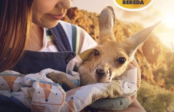 Dziś nasi najmłodsi uczniowie wybrali się do kina w POK-u na seans filmu „Lilly i kangurek”. To była nie tylko świetna rozrywka, ale też cenna lekcja. Film porusza ważne tematy – pokazuje, że prawdziwe szczęście nie zawsze kryje się w sławie czy pieniądzach. Czasem wystarczy odwaga, by spróbować czegoś nowego, otwartość na przyjaźń i gotowość do pomocy – nawet jeśli chodzi o... kangurka. To ciepła, wzruszająca opowieść o empatii, przyjaźni i poszukiwaniu swojego miejsca na świecie – nie tylko wśród ludzi, ale i zwierząt. Dziękujemy POK za gościnność i już nie możemy się doczekać kolejnych filmowych spotkań.
