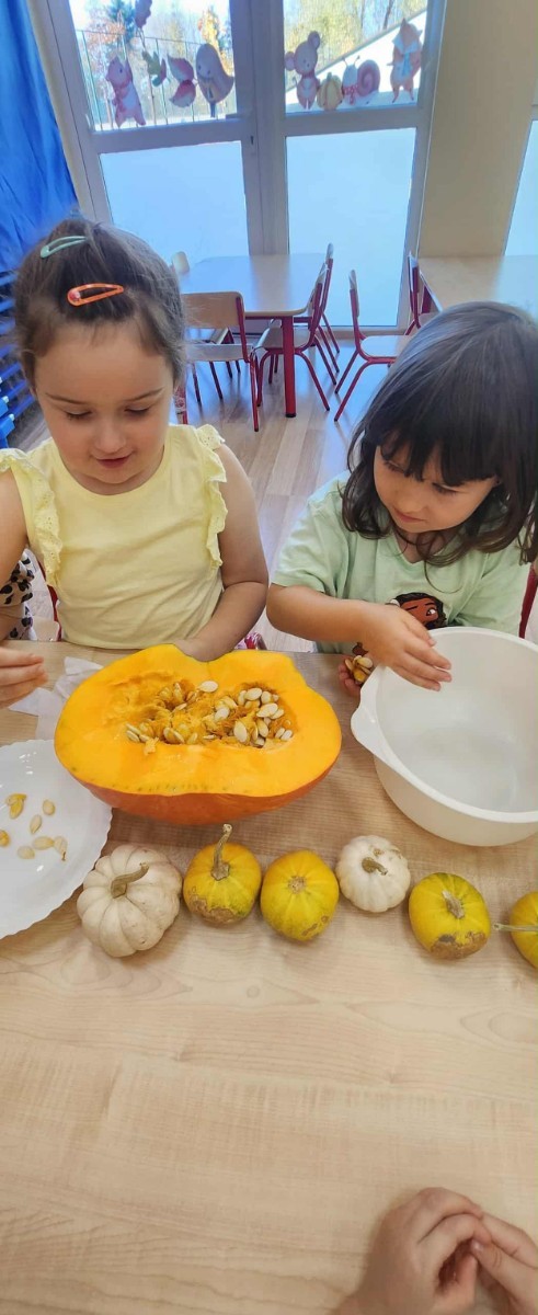 31 października nasze przedszkole zamieniło się w prawdziwą dyniową krainę! W salach królował kolor pomarańczowy, a wszędzie można było zobaczyć uśmiechnięte buzie dzieci i  dynie w różnych kształtach i rozmiarach.Przedszkolaki chętnie brały udział w zabawach muzyczno-ruchowych oraz zajęciach plastycznych z dynią w roli głównej.
Dzieci dowiedziały się, że dynia to nie tylko piękna ozdoba jesieni, ale również zdrowe i smaczne warzywo, z którego można przygotować wiele pysznych potraw.Na zakończenie dnia dzieci otrzymały dyniowe medale oraz pamiątkowe dyplomy,świadczące o ich udziale i zaangażowaniu w obchody tego święta.
To był dzień pełen radości, kolorów ,niezapomnianych wrażeń i jesiennej magii.
