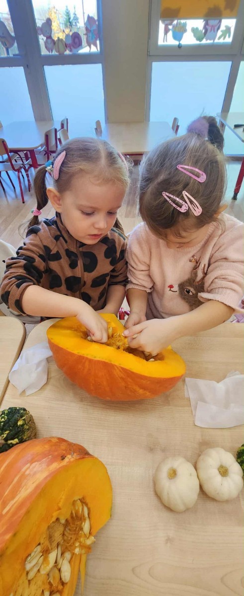 31 października nasze przedszkole zamieniło się w prawdziwą dyniową krainę! W salach królował kolor pomarańczowy, a wszędzie można było zobaczyć uśmiechnięte buzie dzieci i  dynie w różnych kształtach i rozmiarach.Przedszkolaki chętnie brały udział w zabawach muzyczno-ruchowych oraz zajęciach plastycznych z dynią w roli głównej.
Dzieci dowiedziały się, że dynia to nie tylko piękna ozdoba jesieni, ale również zdrowe i smaczne warzywo, z którego można przygotować wiele pysznych potraw.Na zakończenie dnia dzieci otrzymały dyniowe medale oraz pamiątkowe dyplomy,świadczące o ich udziale i zaangażowaniu w obchody tego święta.
To był dzień pełen radości, kolorów ,niezapomnianych wrażeń i jesiennej magii.
