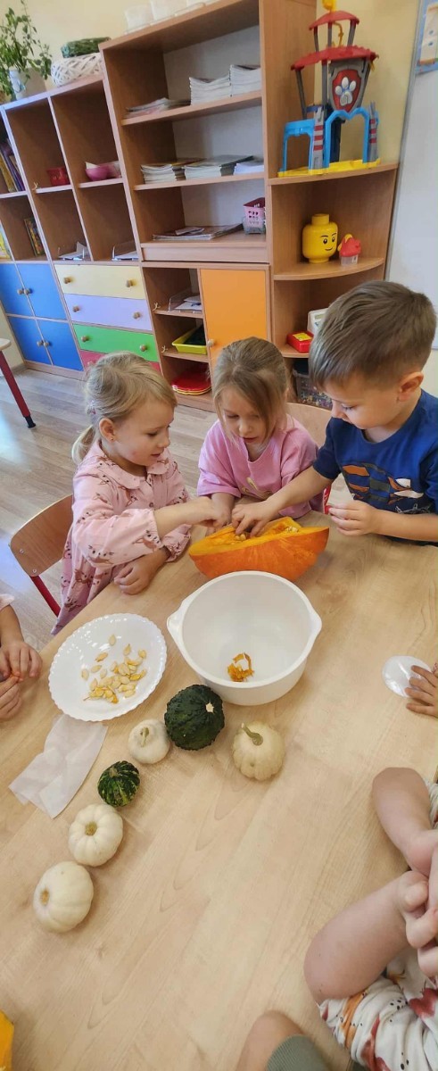 31 października nasze przedszkole zamieniło się w prawdziwą dyniową krainę! W salach królował kolor pomarańczowy, a wszędzie można było zobaczyć uśmiechnięte buzie dzieci i  dynie w różnych kształtach i rozmiarach.Przedszkolaki chętnie brały udział w zabawach muzyczno-ruchowych oraz zajęciach plastycznych z dynią w roli głównej.
Dzieci dowiedziały się, że dynia to nie tylko piękna ozdoba jesieni, ale również zdrowe i smaczne warzywo, z którego można przygotować wiele pysznych potraw.Na zakończenie dnia dzieci otrzymały dyniowe medale oraz pamiątkowe dyplomy,świadczące o ich udziale i zaangażowaniu w obchody tego święta.
To był dzień pełen radości, kolorów ,niezapomnianych wrażeń i jesiennej magii.
