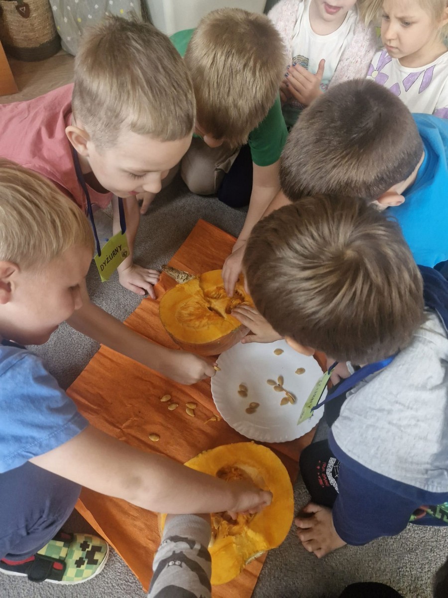 31 października nasze przedszkole zamieniło się w prawdziwą dyniową krainę! W salach królował kolor pomarańczowy, a wszędzie można było zobaczyć uśmiechnięte buzie dzieci i  dynie w różnych kształtach i rozmiarach.Przedszkolaki chętnie brały udział w zabawach muzyczno-ruchowych oraz zajęciach plastycznych z dynią w roli głównej.
Dzieci dowiedziały się, że dynia to nie tylko piękna ozdoba jesieni, ale również zdrowe i smaczne warzywo, z którego można przygotować wiele pysznych potraw.Na zakończenie dnia dzieci otrzymały dyniowe medale oraz pamiątkowe dyplomy,świadczące o ich udziale i zaangażowaniu w obchody tego święta.
To był dzień pełen radości, kolorów ,niezapomnianych wrażeń i jesiennej magii.
