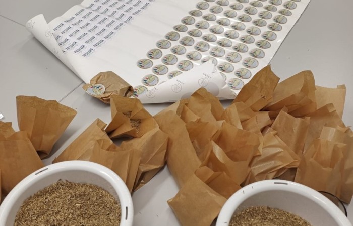 Dzięki grantowi przyznanemu przez Polskie Sieci Elektroenergetyczne w ramach VII edycji programu “ Wzmocnij Swoje Otoczenie” dla Stowarzyszenia Przyjaciele Pasłęckiej Dwójki, na terenie Szkoły Podstawowej nr 2 w Pasłęku powstało wyjątkowe miejsce – EkoEduPark PSE. To przestrzeń stworzona z myślą o edukacji ekologicznej, integracji społecznej oraz promowaniu postaw proekologicznych wśród dzieci, młodzieży i dorosłych mieszkańców naszej gminy.