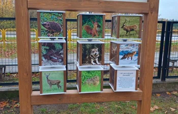 Dzięki grantowi przyznanemu przez Polskie Sieci Elektroenergetyczne w ramach VII edycji programu “ Wzmocnij Swoje Otoczenie” dla Stowarzyszenia Przyjaciele Pasłęckiej Dwójki, na terenie Szkoły Podstawowej nr 2 w Pasłęku powstało wyjątkowe miejsce – EkoEduPark PSE. To przestrzeń stworzona z myślą o edukacji ekologicznej, integracji społecznej oraz promowaniu postaw proekologicznych wśród dzieci, młodzieży i dorosłych mieszkańców naszej gminy.