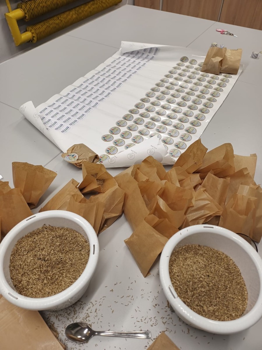 Dzięki grantowi przyznanemu przez Polskie Sieci Elektroenergetyczne w ramach VII edycji programu “ Wzmocnij Swoje Otoczenie” dla Stowarzyszenia Przyjaciele Pasłęckiej Dwójki, na terenie Szkoły Podstawowej nr 2 w Pasłęku powstało wyjątkowe miejsce – EkoEduPark PSE. To przestrzeń stworzona z myślą o edukacji ekologicznej, integracji społecznej oraz promowaniu postaw proekologicznych wśród dzieci, młodzieży i dorosłych mieszkańców naszej gminy.