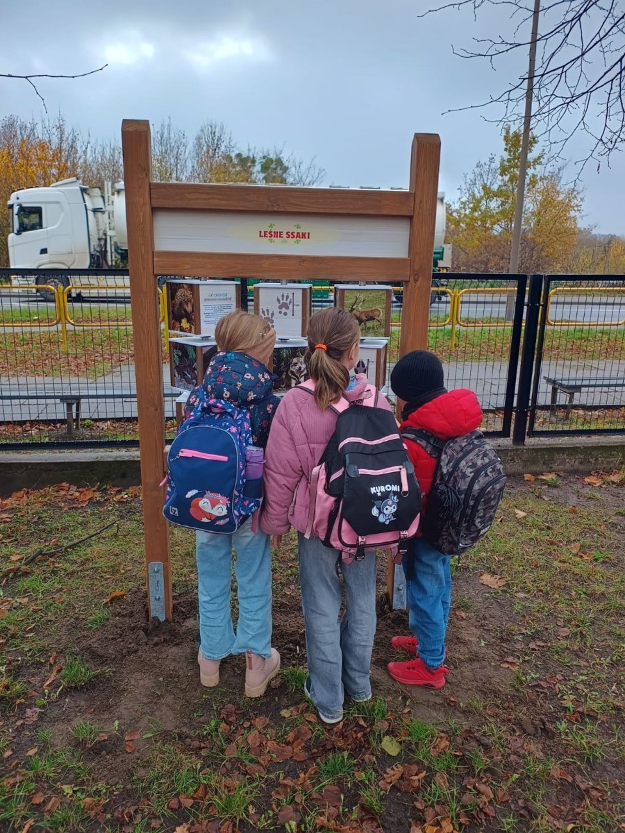 Dzięki grantowi przyznanemu przez Polskie Sieci Elektroenergetyczne w ramach VII edycji programu “ Wzmocnij Swoje Otoczenie” dla Stowarzyszenia Przyjaciele Pasłęckiej Dwójki, na terenie Szkoły Podstawowej nr 2 w Pasłęku powstało wyjątkowe miejsce – EkoEduPark PSE. To przestrzeń stworzona z myślą o edukacji ekologicznej, integracji społecznej oraz promowaniu postaw proekologicznych wśród dzieci, młodzieży i dorosłych mieszkańców naszej gminy.