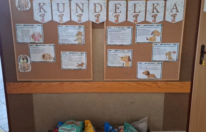 Z okazji Dnia Kundelka w naszej placówce odbyła się zbiórka karmy dla potrzebujących czworonogów. Dzięki ogromnemu zaangażowaniu dzieci i wsparciu rodziców udało się zebrać imponującą ilość darów, które trafiły do pobliskiego schroniska.

Z tej okazji dzieci z wielkim entuzjazmem przygotowały również piękne prace plastyczne inspirowane psimi przyjaciółmi. Ich wystawa ozdobiła sale i korytarze, wprowadzając wszystkich w radosny, psi klimat.

Serdecznie dziękujemy wszystkim darczyńcom za otwarte serca, życzliwość i wspólne świętowanie tego wyjątkowego dnia.