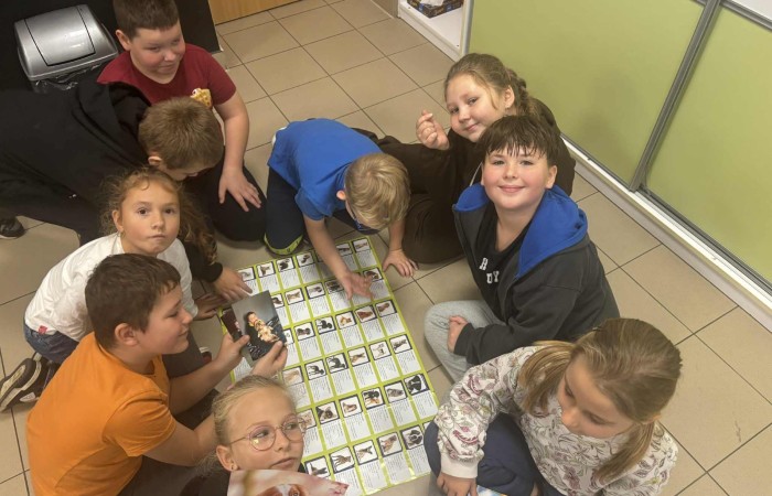 Z okazji Dnia Kundelka w naszej placówce odbyła się zbiórka karmy dla potrzebujących czworonogów. Dzięki ogromnemu zaangażowaniu dzieci i wsparciu rodziców udało się zebrać imponującą ilość darów, które trafiły do pobliskiego schroniska.

Z tej okazji dzieci z wielkim entuzjazmem przygotowały również piękne prace plastyczne inspirowane psimi przyjaciółmi. Ich wystawa ozdobiła sale i korytarze, wprowadzając wszystkich w radosny, psi klimat.

Serdecznie dziękujemy wszystkim darczyńcom za otwarte serca, życzliwość i wspólne świętowanie tego wyjątkowego dnia.