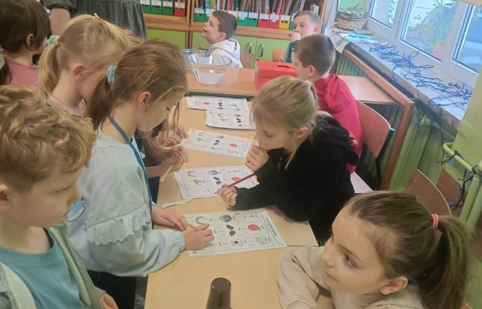 W tym roku Andrzejki w naszej szkole były pełne magii, radości i uśmiechu. Uczniowie klas trzecich przygotowali dla pierwszaków wyjątkowe wróżby i zabawy, dzięki którym mali uczestnicy mogli poczuć prawdziwą andrzejkową atmosferę. Nie zabrakło tradycyjnych wróżb, takich jak serca z imionami, magiczne kubeczki czy karty, a także mnóstwa śmiechu i wspólnej zabawy. Było kolorowo, wesoło i… trochę tajemniczo.
Serdeczne podziękowania dla naszych starszych uczniów za kreatywność i świetną zabawę, a także dla pierwszaków za aktywny udział w andrzejkowych atrakcjach. To był naprawdę magiczny dzień.