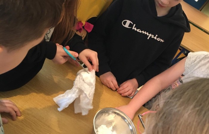 Podczas zajęć projektowych przyrodniczych wykonywaliśmy proste i bezpieczne doświadczenia. Jednym z doświadczeń, które wybrali uczniowie było: Jak wykonać sztuczny śnieg? Do wykonania takiego doświadczenia potrzebujemy: pieluchy (pampersy) rozkładamy i rozcinamy środek tak, aby ze środka wyrzucić do naszej miseczki drobne kuleczki. Te kuleczki to superchłonny żel doskonały do stworzenia śniegu. Kulki pochłaniają wilgoć w masie blisko 30 razy większej od własnej, tym sposobem już z jednej pieluchy możemy zrobić sporą ilość śniegu. Wykonany sztuczny śnieg uczniowie mogą dotknąć, pobawić się jego konsystencją. Jest bardzo miły w dotyku.