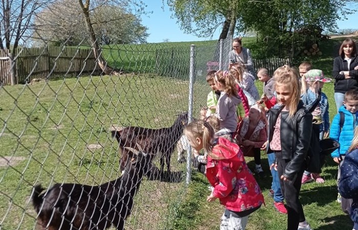 Nasze przedszkolaki po dłuższej przerwie w dobie pandemii wybrały się na wycieczkę do Sąp.
Wyjazd bardzo zbliżył nas do czasów kiedy to ludzie żyli w klimacie na łonie natury.                           Poznaliśmy obyczaje, życie oraz prace ludzi na wsi. W wiejskiej zagrodzie przebywały zwierzęta które mogliśmy zobaczyć oraz nakarmić. Dzieci bardzo uważnie zainteresowały się zwierzakami.
Wycieczka bardzo nam się podobała i przybliżyła tematom związanym z życiem na wsi.
Na pewno tam wrócimy… :)
